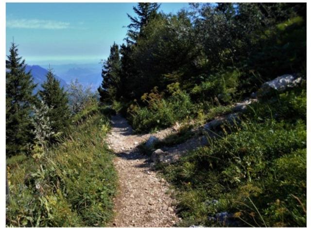 Grenoble Sud Varces Suite Privatisee Au Pied Des Montagnes Varces-Allieres-et-Risset Exterior foto